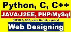 Our Courses 